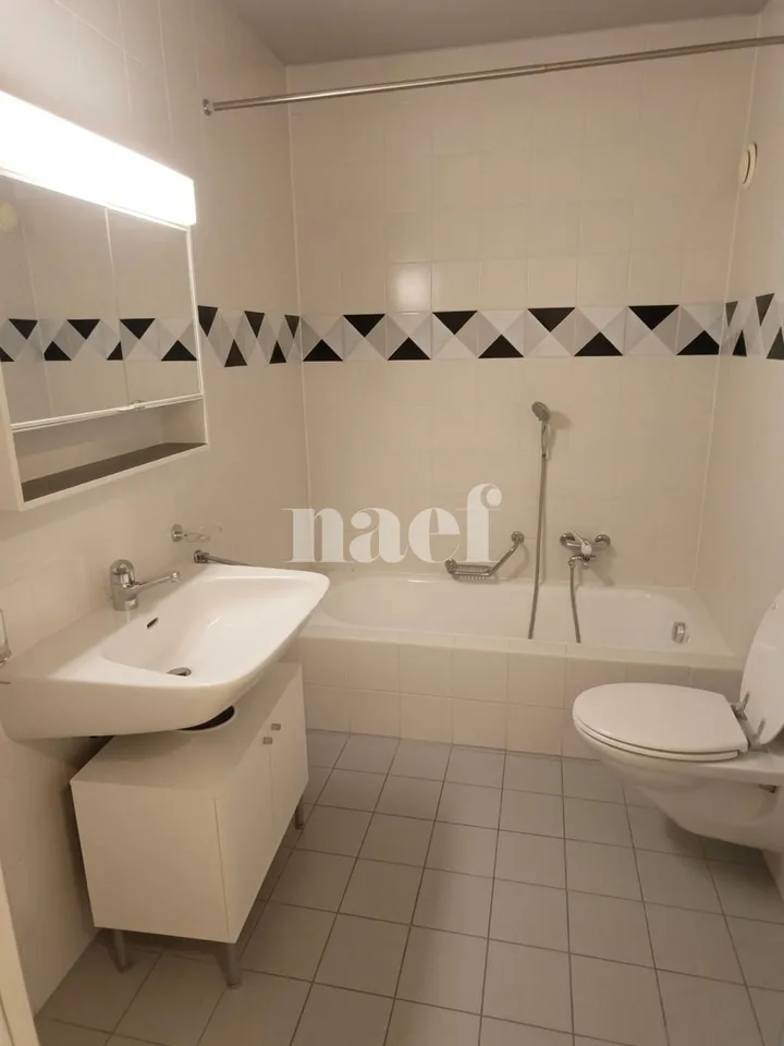 Appartement in der Nähe des Bahnhofs Eaux-Vives – Foto 7 von 8
