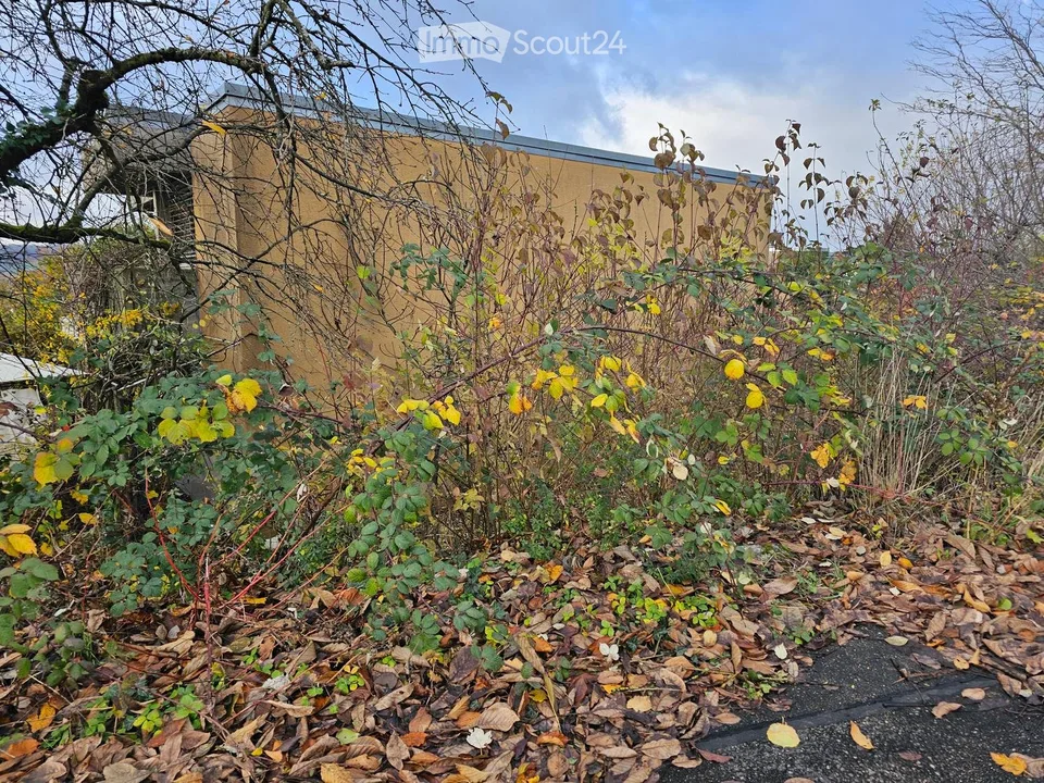 Schönes Haus mit viel Umschwung in Wilchingen – Foto 2 von 5