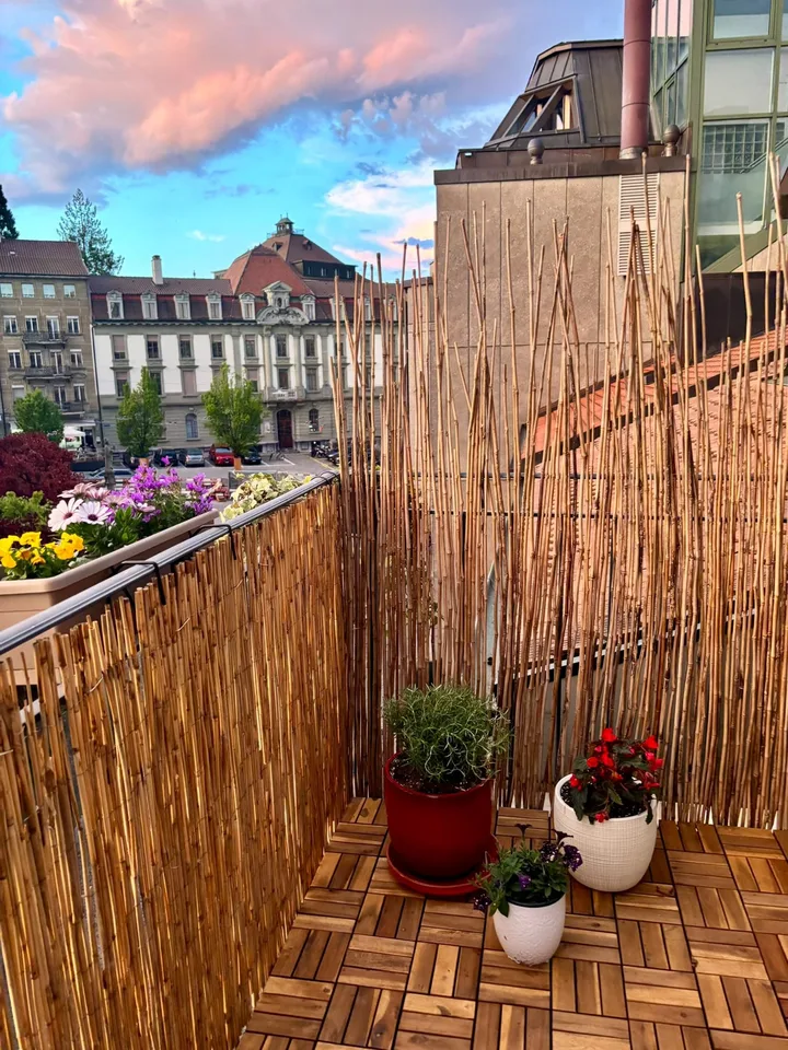 Duplex di charme & accogliente, 2,5 locali nel cuore di Friburgo! – foto 2 di 10