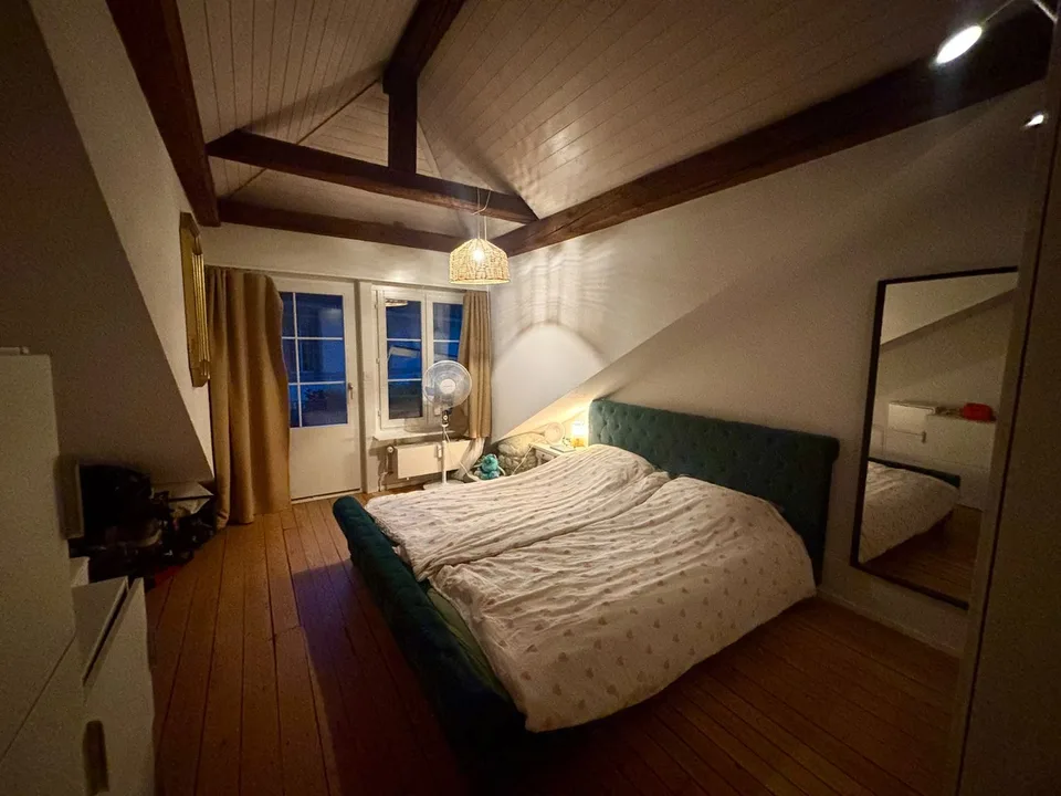Duplex di charme & accogliente, 2,5 locali nel cuore di Friburgo! – foto 6 di 10
