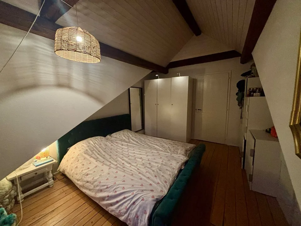 Duplex di charme & accogliente, 2,5 locali nel cuore di Friburgo! – foto 5 di 10