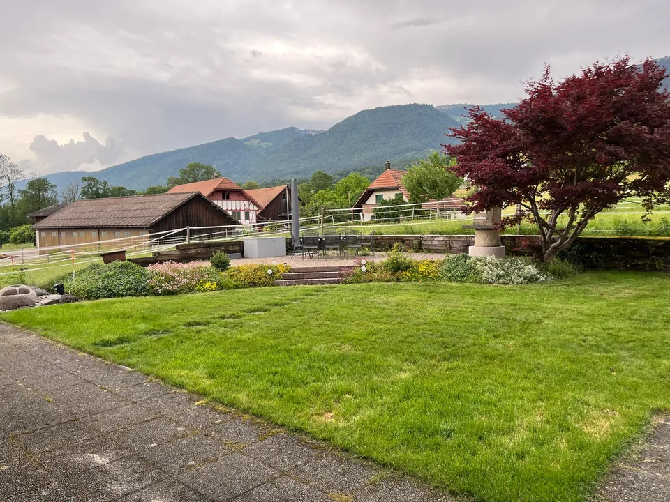 Charmante 4.5-Zimmer-Wohnung im ruhigen Selzach – Foto 7 von 7