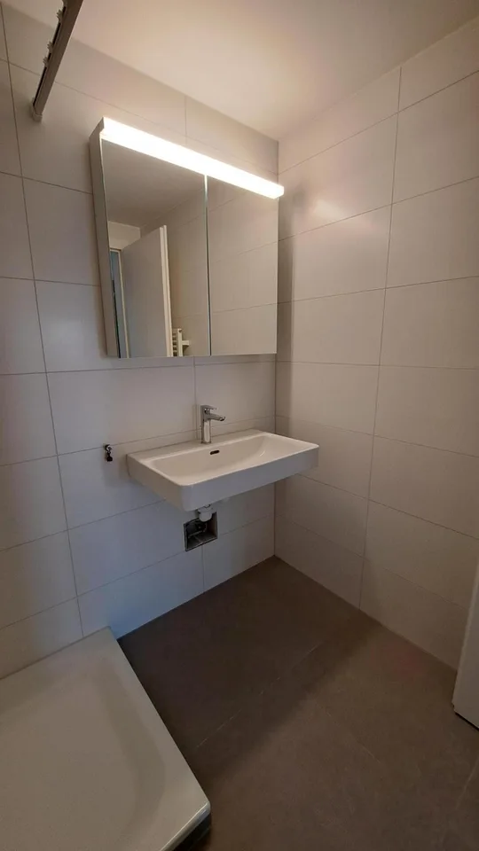 Charmante Single-Wohnung in einem familiären Riegelbau zu vermieten – Foto 5 von 7