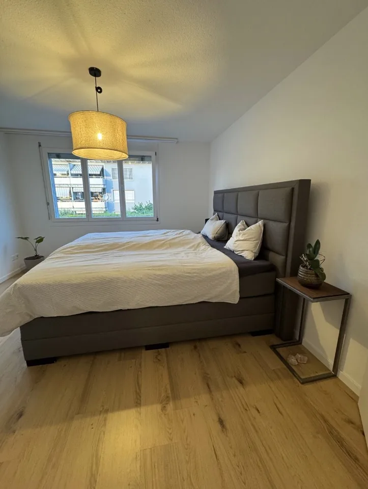 Appartamento in affitto 4.5 locali a Baar – foto 5 di 13