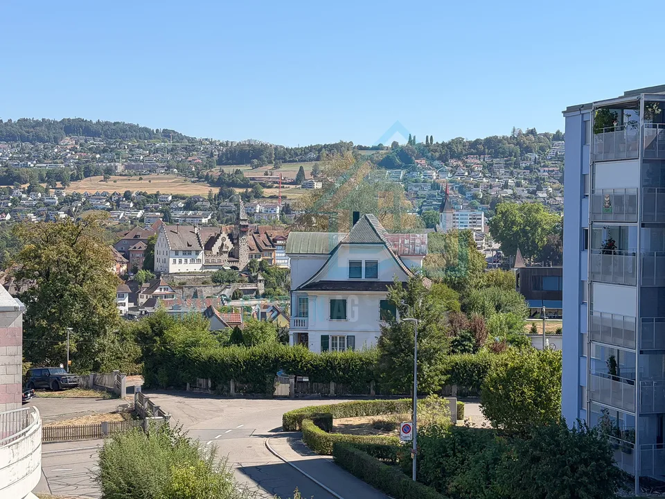Appartamento attico esclusivo di 4,5 locali con terrazza spaziosa – foto 12 di 13
