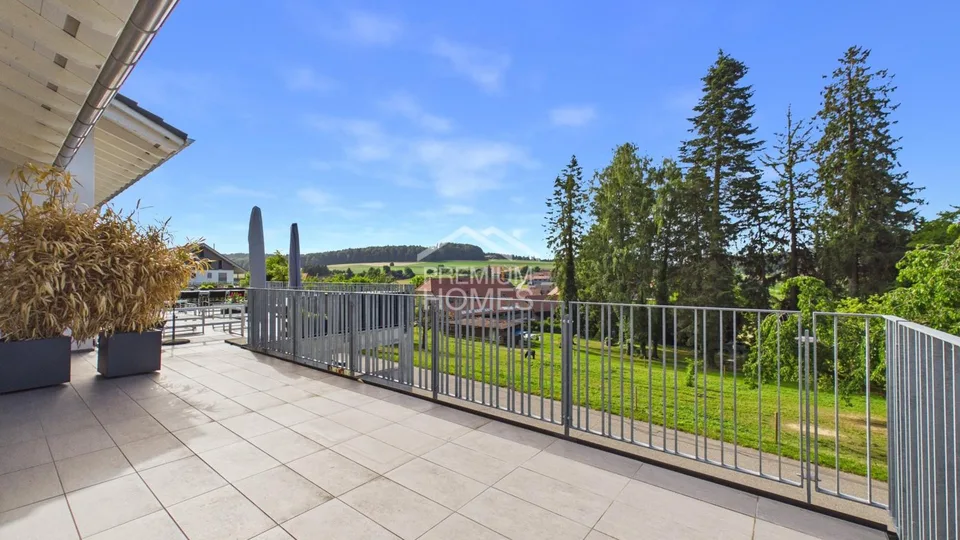 Modern Living at the Edge of the Forest – photo 2 of 12