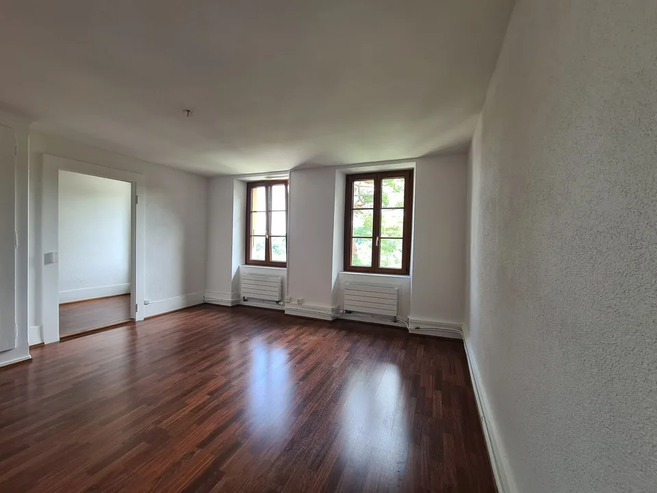 Incantevole appartamento di 5 locali a Ferreyres con grande giardino – foto 2 di 13
