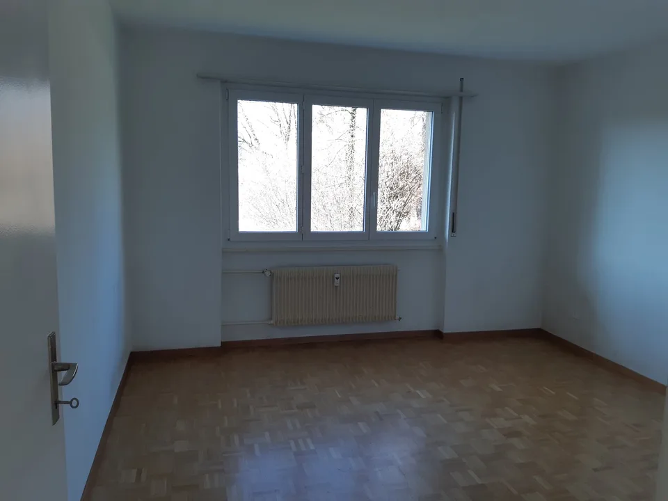 Ampio appartamento 2.5 locali con area giardino – foto 4 di 9