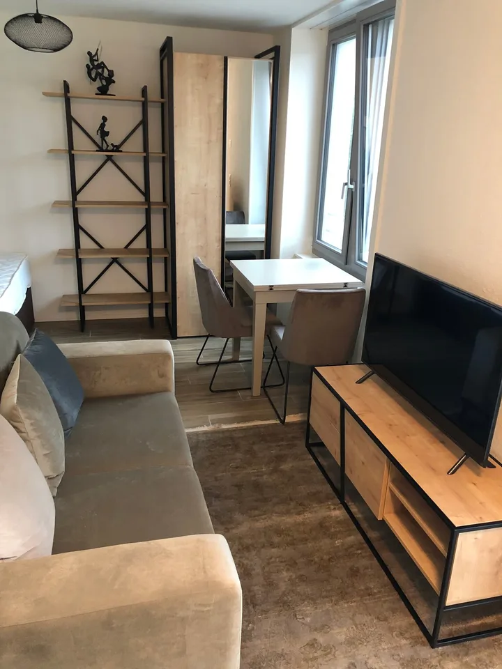 Appartement meublé de 1,5 pièces avec balcon à Zurich – photo 4 sur 6