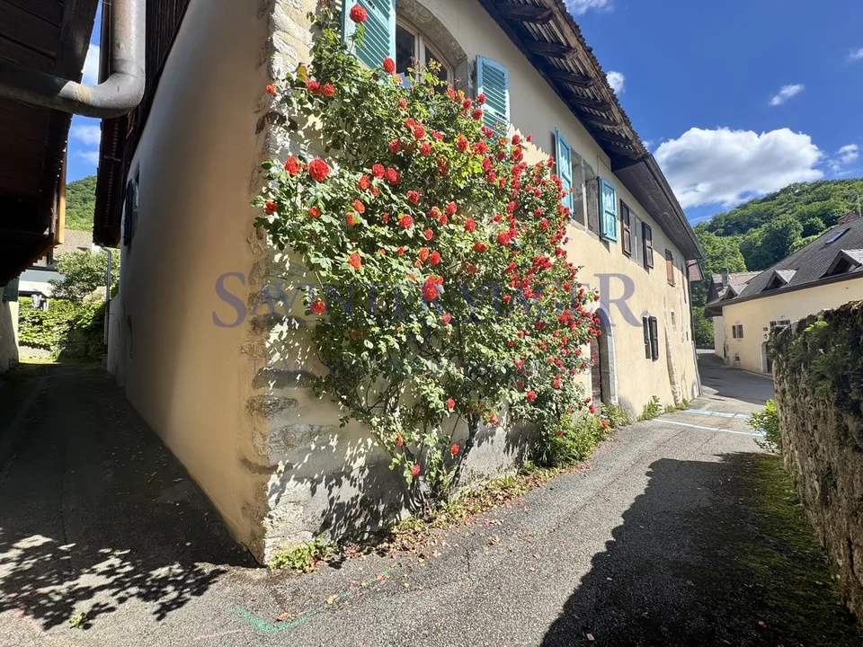 Viager occupé. Menthon-St-Bernard. Un bien rare avec potentiel – photo 12 sur 13