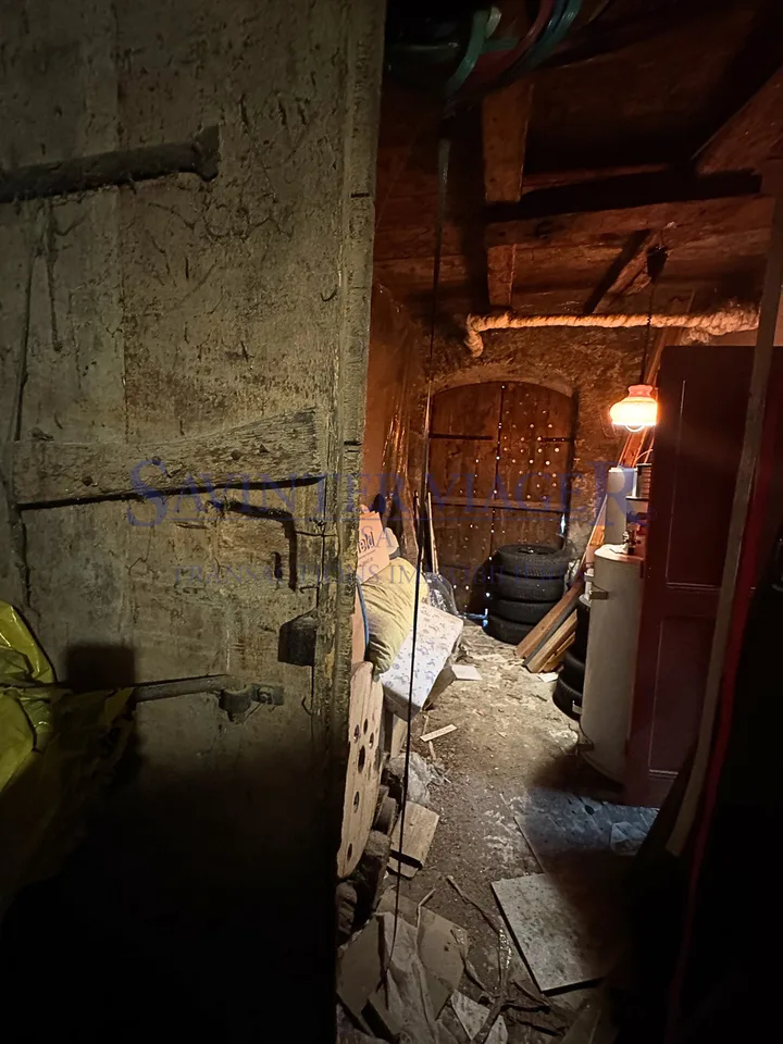 Viager occupé. Menthon-St-Bernard. Un bien rare avec potentiel – photo 10 sur 13