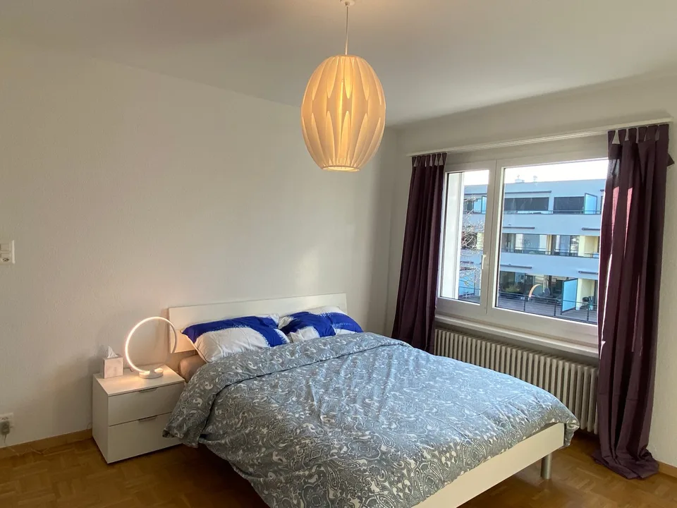 🏡 Furnished 2.5-Room Apartment with Private Balcony in Dübendorf – 8600 – photo 4 of 15
