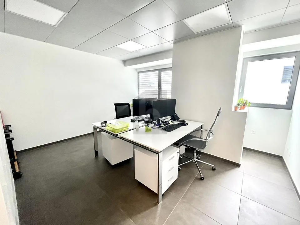NEW ARTISANAL/COMMERCIAL BUILDING – photo 2 of 6