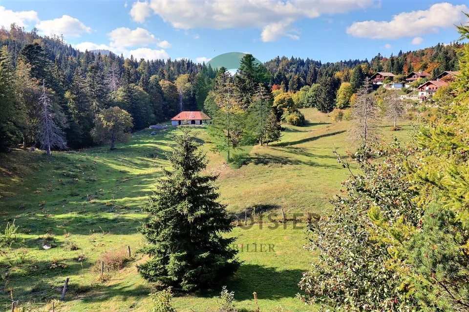 La nature à la porte de votre chalet individuel – photo 8 sur 20