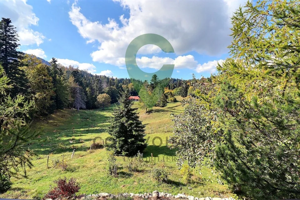 La nature à la porte de votre chalet individuel – photo 5 sur 20