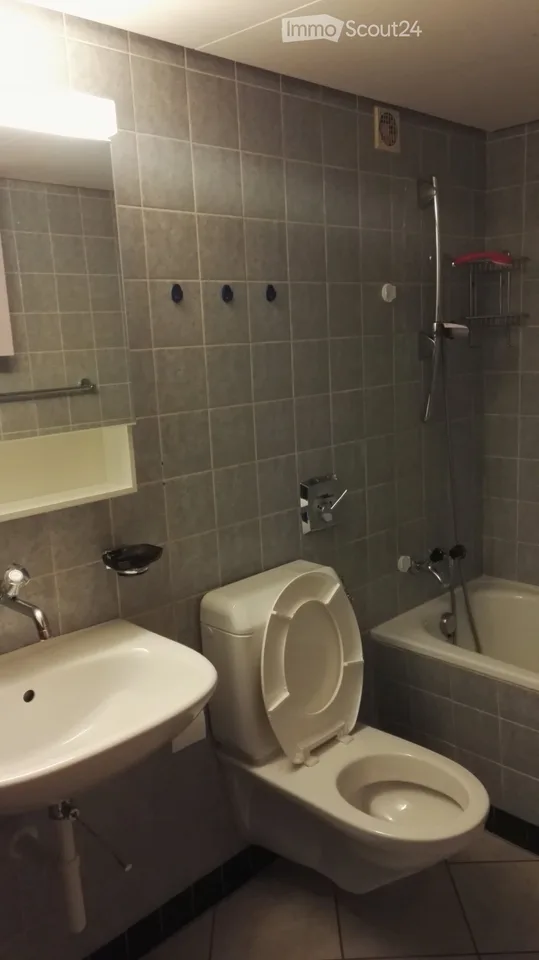 Sie suchen eine aussergewöhnliche Parterrewohnung – Foto 5 von 5