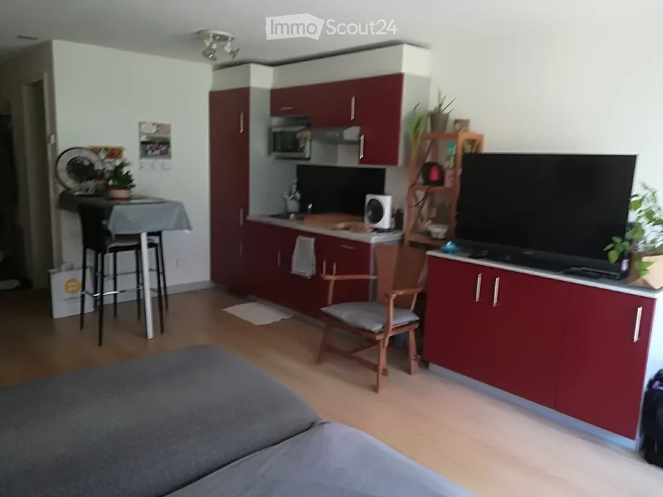 LEUKERBAD grosse Studiowohnung zu verkaufen – Foto 10 von 12