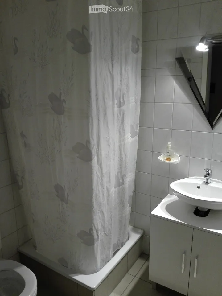LEUKERBAD grosse Studiowohnung zu verkaufen – Foto 2 von 12