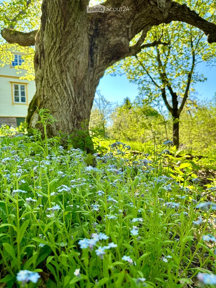 Idylle de maison de campagne finlandaise avec arboretum sur 1,7 hectares – photo 19 sur 30