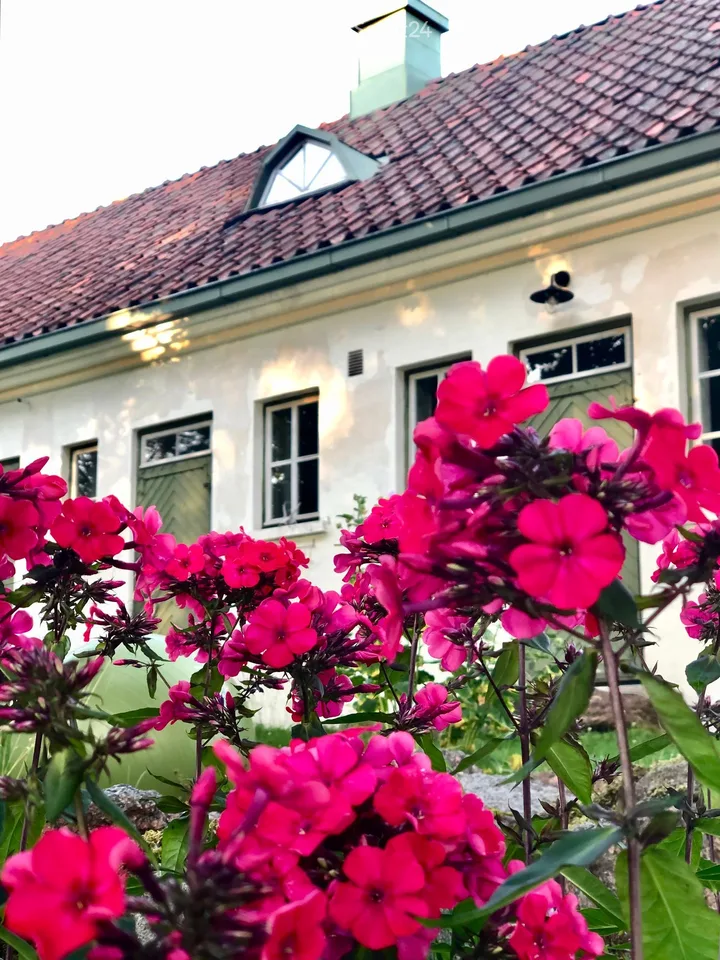 Idylle de maison de campagne finlandaise avec arboretum sur 1,7 hectares – photo 16 sur 30