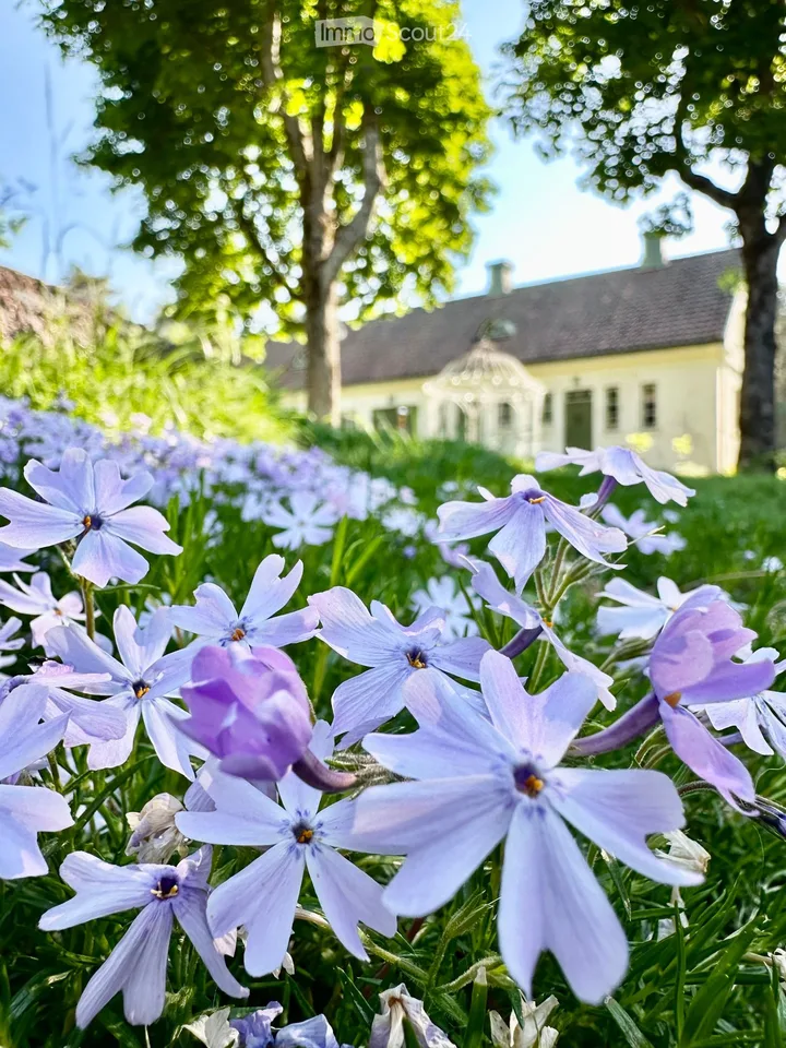 Idylle de maison de campagne finlandaise avec arboretum sur 1,7 hectares – photo 23 sur 30