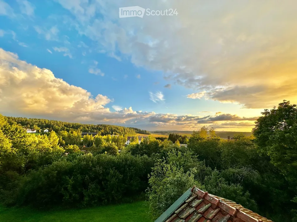 Idylle de maison de campagne finlandaise avec arboretum sur 1,7 hectares – photo 27 sur 30