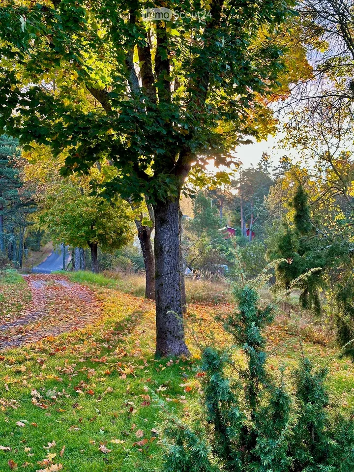 Idylle de maison de campagne finlandaise avec arboretum sur 1,7 hectares – photo 26 sur 30