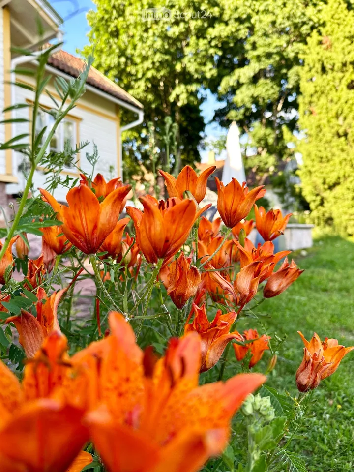 Idylle de maison de campagne finlandaise avec arboretum sur 1,7 hectares – photo 22 sur 30