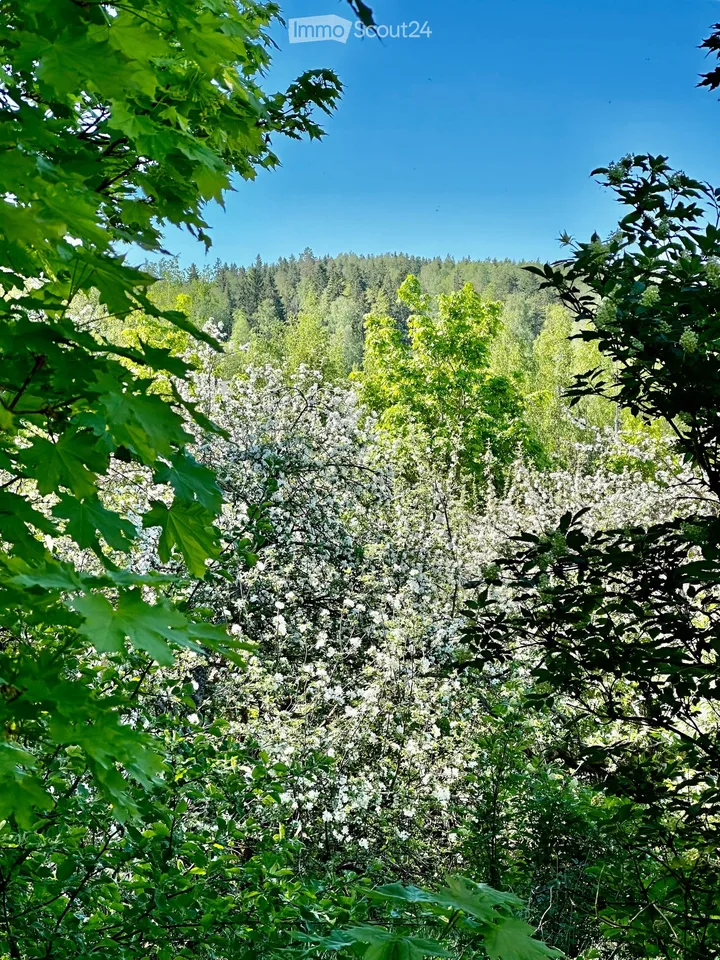 Idylle de maison de campagne finlandaise avec arboretum sur 1,7 hectares – photo 21 sur 30