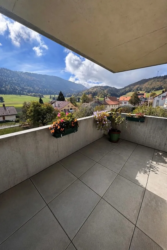 Magnifique appartement de 3.5 pièces à louer – photo 4 sur 8