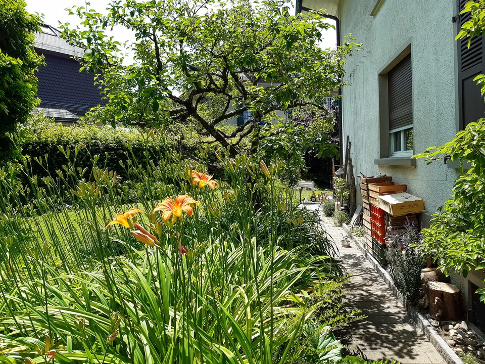 Due appartamenti in proprietà, Mattenhof Bern – foto 8 di 30