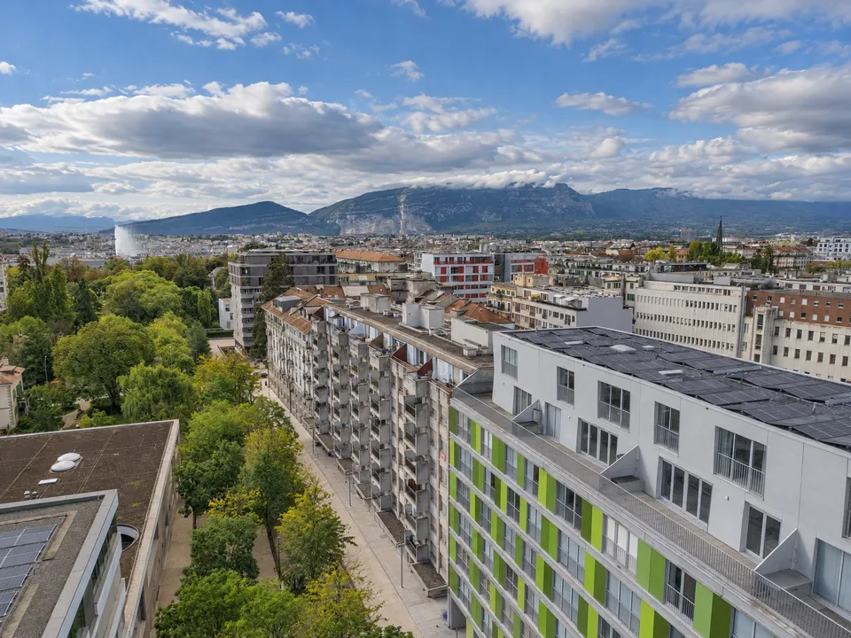 Magnifico attico in duplex con 79 m² di terrazze nel Petit-Saconnex – foto 6 di 13