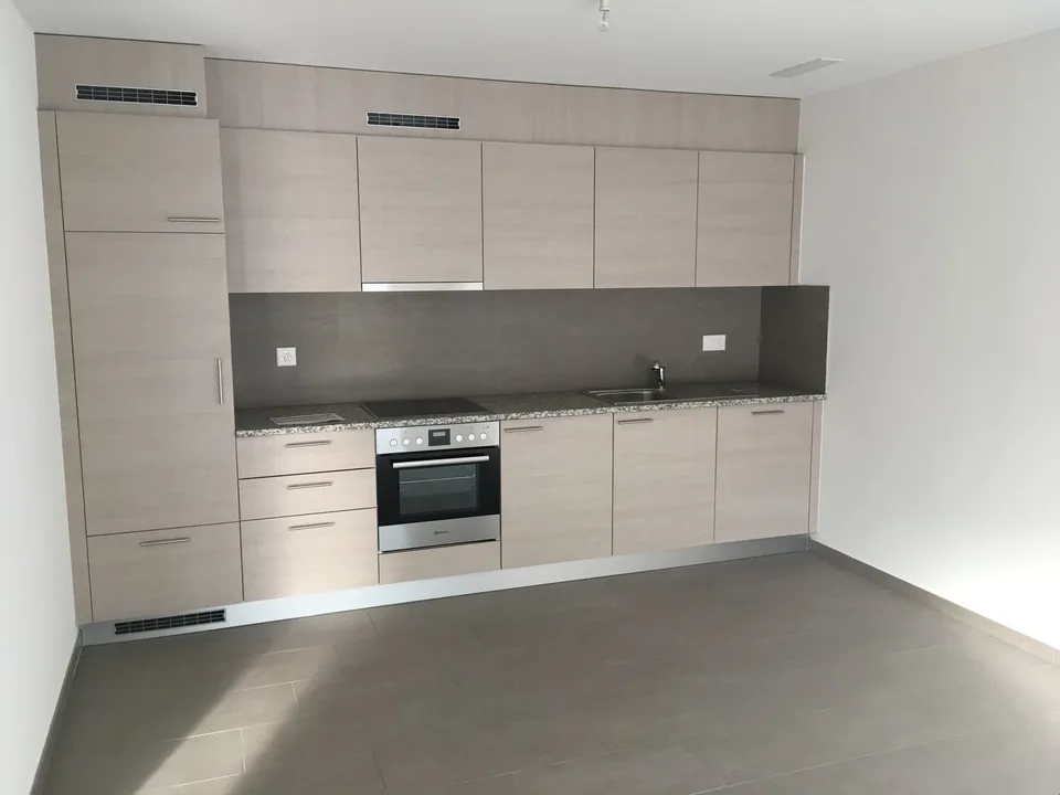 VOTRE MAGNIFIQUE 2.5 PIECES RECENT AVEC SA BELLE TERRASSE - 1 PARKING INT. + 1 PARKING EXT. INCLUS – photo 2 sur 7