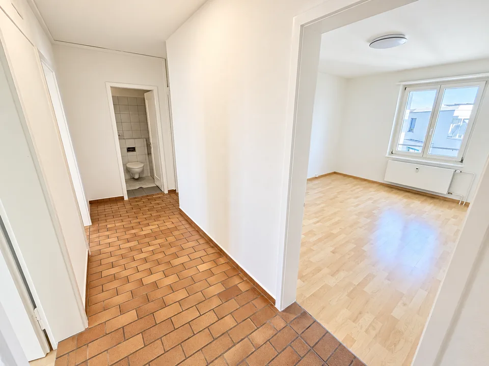 Vivere in un ambiente familiare vicino al Reno nel quartiere di Hirzbrunnen – foto 2 di 11