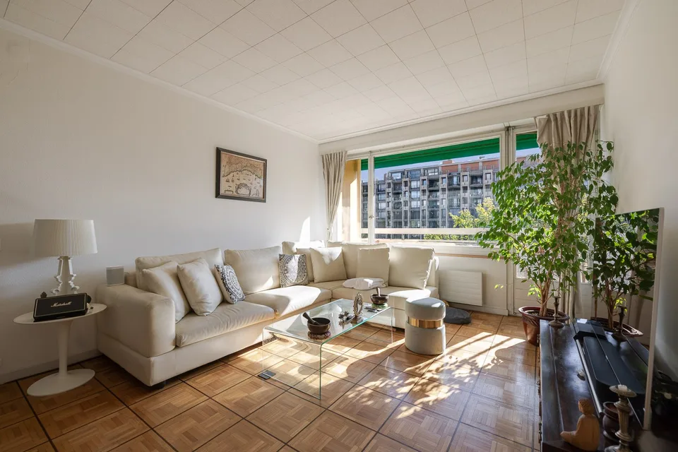 Appartement lumineux avec vue sur le Salève au coeur de Champel – photo 2 sur 8