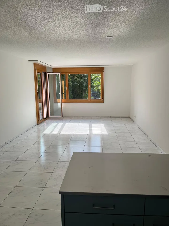 Charming 2.5-room apartment with terrace in Dübendorf – photo 2 of 5