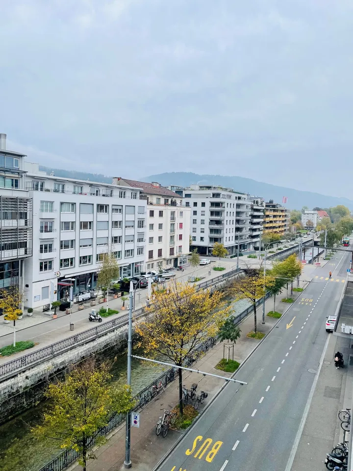 Appartement/Chambre à louer - appartement complètement rénové et meublé – photo 11 sur 12