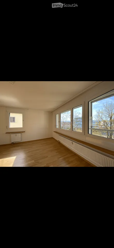 Appartamento 3.5 locali a Münchenstein – Cercasi subaffittuario – foto 4 di 18