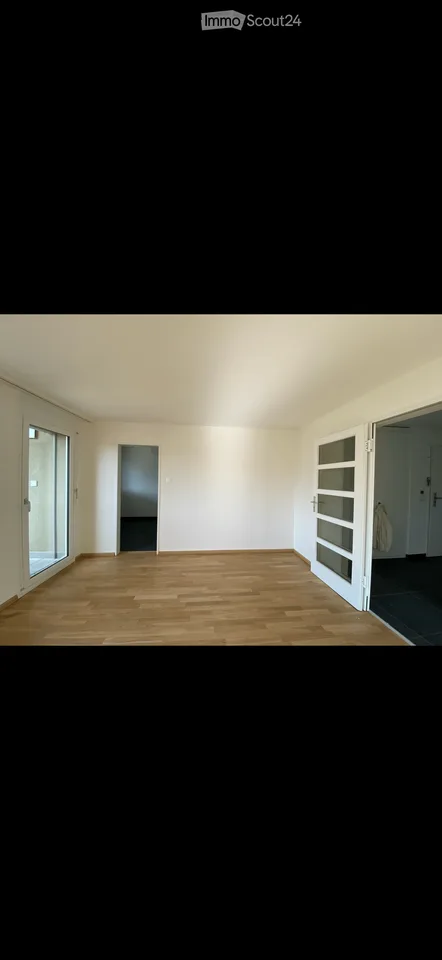 Appartamento 3.5 locali a Münchenstein – Cercasi subaffittuario – foto 3 di 18