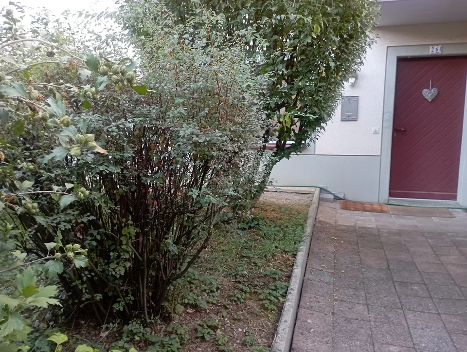 BERNEX - Piano Terra 6 Locali ?130 m² Terrazza, Giardino in Campagna – foto 2 di 13