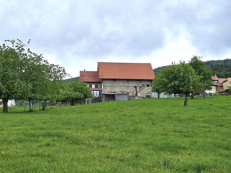 Haus im Dorf und auf dem Land, ca. 6'850 m3 – Foto 4 von 7