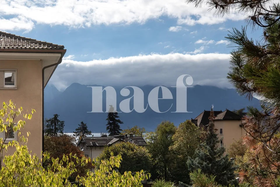 En exclusivité ! Lumineux appartement entièrement rénové de 4.5 pièces à vendre au coeur de Vevey – photo 3 sur 12