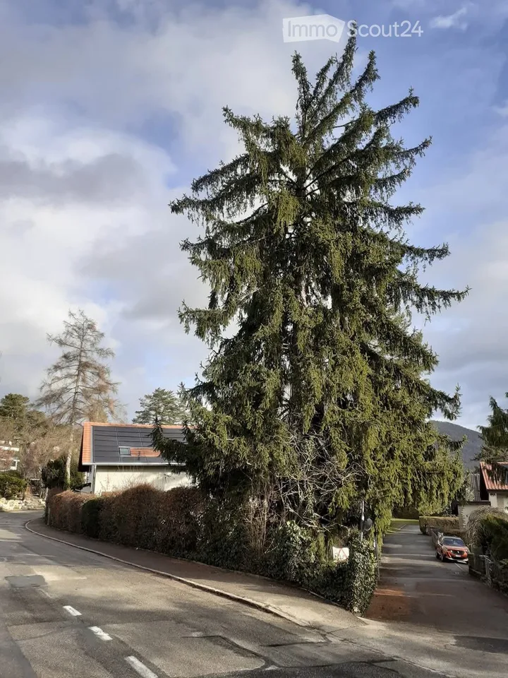Zimmer in Wohngemeinschaft – Foto 5 von 5