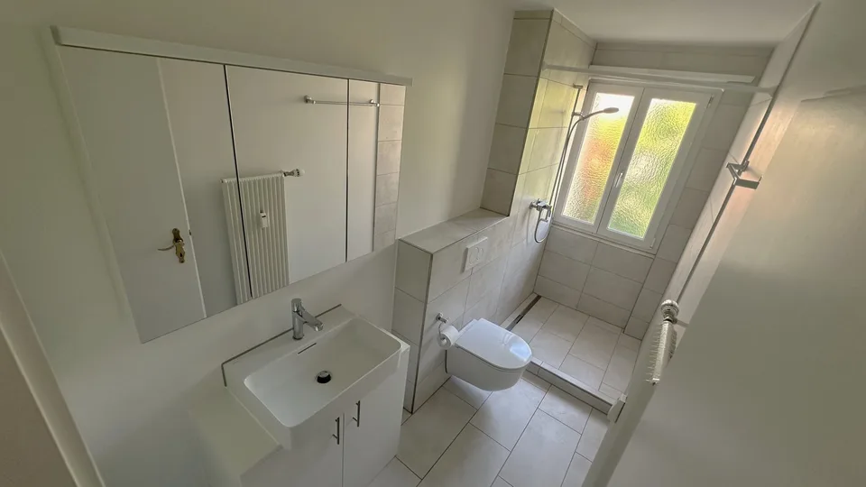 Appartement lumineux à proximité du Rhin – photo 3 sur 5