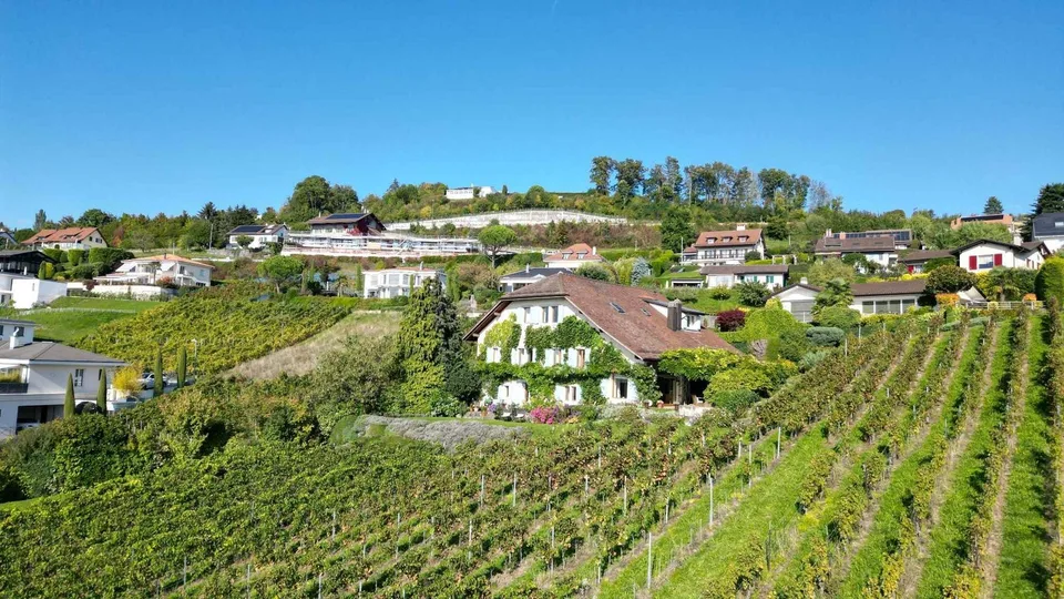 Casa vignaiola d'eccezione di oltre 450 m2 con vista impareggiabile – foto 11 di 12