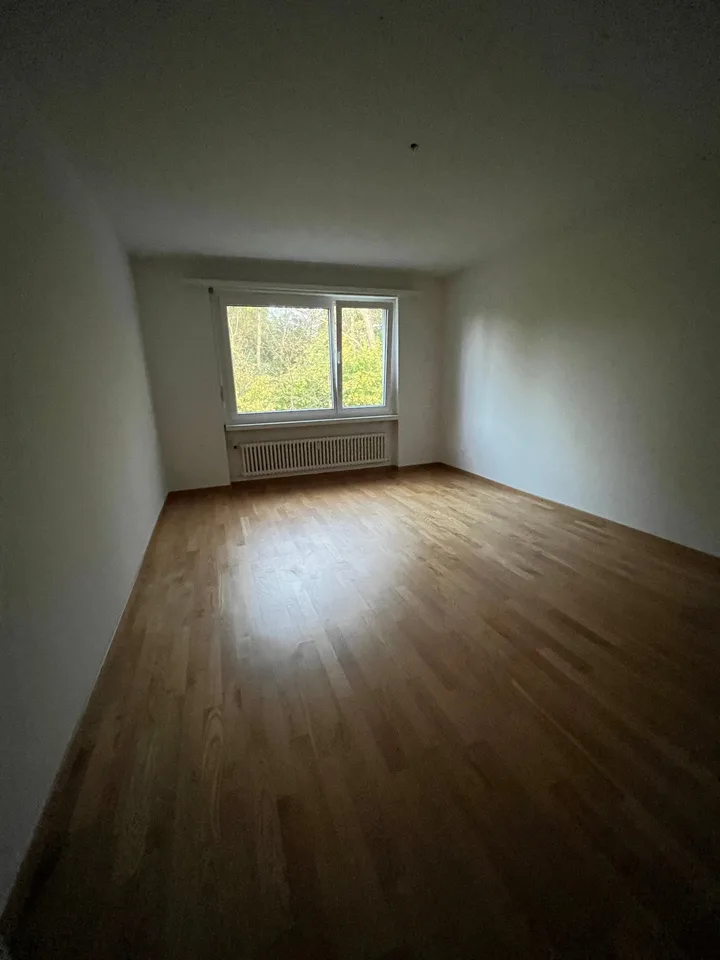 appartamento moderno, spazioso 2.5 locali con balcone in una posizione tranquilla – foto 4 di 7