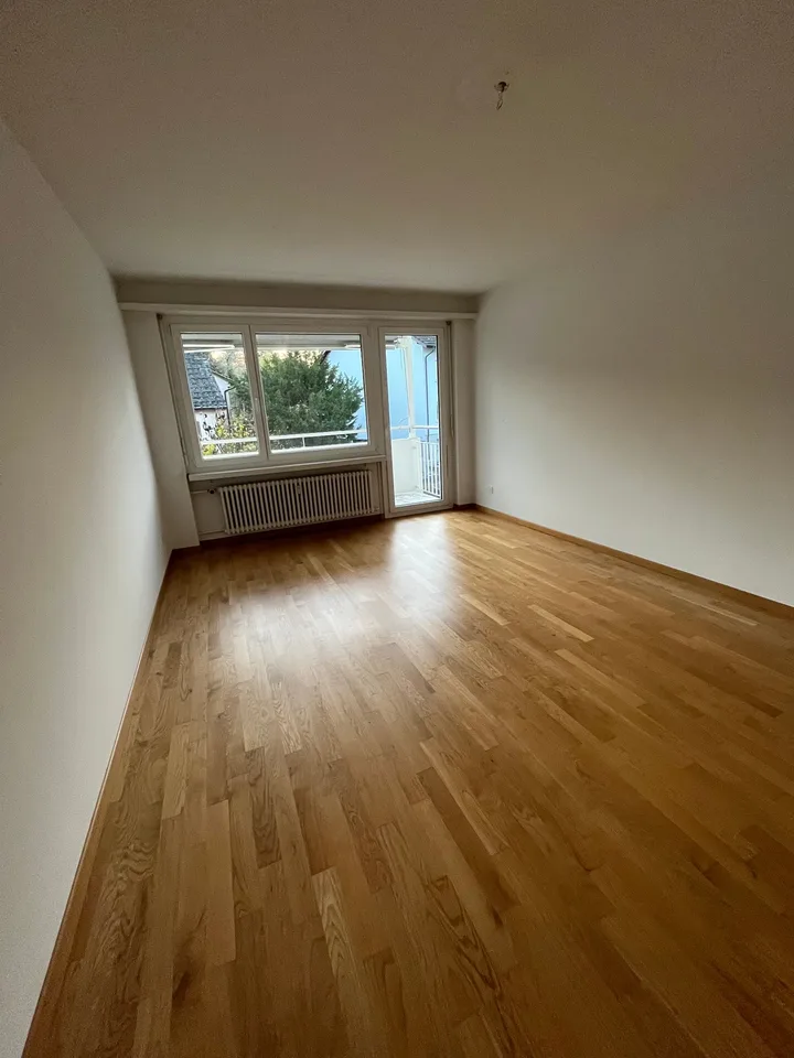 appartamento moderno, spazioso 2.5 locali con balcone in una posizione tranquilla – foto 3 di 7