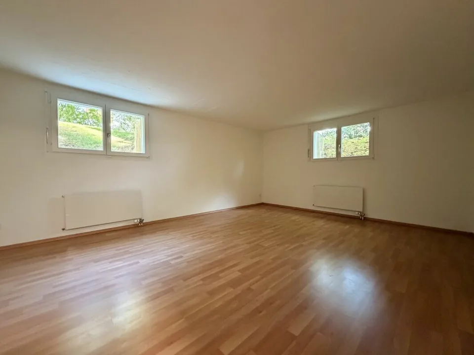 Frick / Freistehendes Einfamilienhaus – Foto 24 von 30
