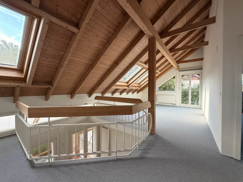 Frick / Freistehendes Einfamilienhaus – Foto 17 von 30