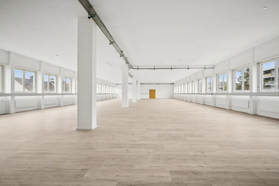 Ampio e luminoso spazio commerciale di 392 m² a Dietikon – foto 5 di 8